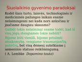 Skaidrės. Mykoliuko paveikslas 20 puslapis