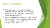 Emocijos. Nesivaldantis ir pasyvus 2 puslapis