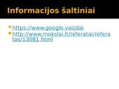 Optinis menas (skaidrės) 14 puslapis