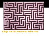 Optinis menas (skaidrės) 8 puslapis