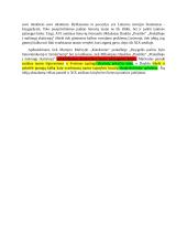 Tautos modernėjimo problema literatūroje 3 puslapis