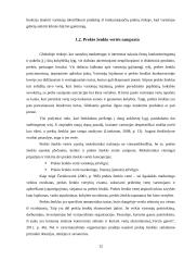 Prekės ženklo „Boston“ stiprinimas rėmimo priemonėmis 11 puslapis