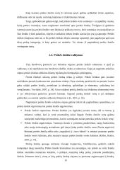 Prekės ženklo „Boston“ stiprinimas rėmimo priemonėmis 13 puslapis