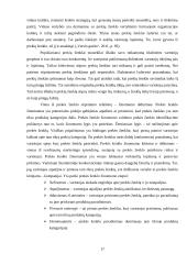 Prekės ženklo „Boston“ stiprinimas rėmimo priemonėmis 16 puslapis