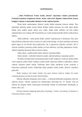 Prekės ženklo „Boston“ stiprinimas rėmimo priemonėmis 2 puslapis