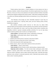 Prekės ženklo „Boston“ stiprinimas rėmimo priemonėmis 6 puslapis