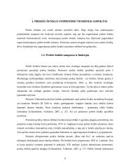 Prekės ženklo „Boston“ stiprinimas rėmimo priemonėmis 7 puslapis