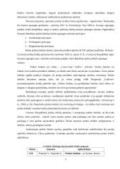 Prekės ženklo „Boston“ stiprinimas rėmimo priemonėmis 8 puslapis