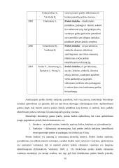 Prekės ženklo „Boston“ stiprinimas rėmimo priemonėmis 9 puslapis