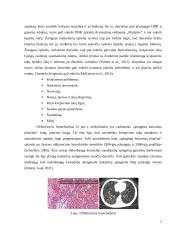 Kukurūzų spragėsiai, aromatai ir plaučių ligos 2 puslapis