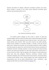 Kukurūzų spragėsiai, aromatai ir plaučių ligos 4 puslapis