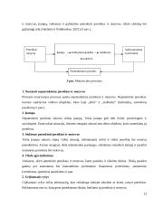 „X“ klubo graikų-romėnų imtyninkų (14-16 metų) motyvacijos sportuoti ypatumai 11 puslapis