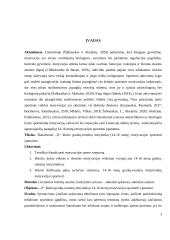 „X“ klubo graikų-romėnų imtyninkų (14-16 metų) motyvacijos sportuoti ypatumai 2 puslapis