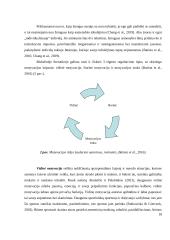 „X“ klubo graikų-romėnų imtyninkų (14-16 metų) motyvacijos sportuoti ypatumai 9 puslapis