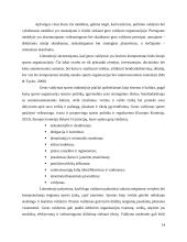 Gero valdymo praktikų taikymo tobulinimas sporto organizacijose 13 puslapis