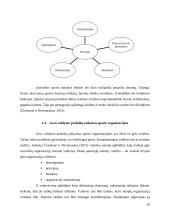 Gero valdymo praktikų taikymo tobulinimas sporto organizacijose 15 puslapis