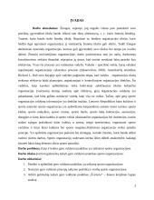 Gero valdymo praktikų taikymo tobulinimas sporto organizacijose 2 puslapis