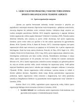 Gero valdymo praktikų taikymo tobulinimas sporto organizacijose 4 puslapis
