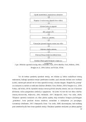 Sąmokslo teorijų sklaidos teoriniai aspektai 13 puslapis