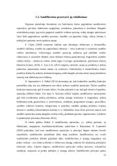 „x“ įmonės sandėliavimo procesų gerinimas 12 puslapis