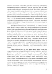 „x“ įmonės sandėliavimo procesų gerinimas 19 puslapis