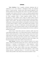 „x“ įmonės sandėliavimo procesų gerinimas 4 puslapis