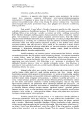 Literatūros pamoka, apie kurią svajočiau