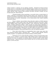 Literatūros pamoka, apie kurią svajočiau 2 puslapis