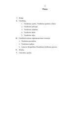 Teisėkūra bei jos teisinis reglamentavimas Lietuvoje 2 puslapis