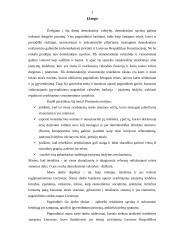 Teisėkūra bei jos teisinis reglamentavimas Lietuvoje 3 puslapis