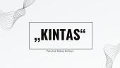 Kintas - savarankiškai perskaityta knyga