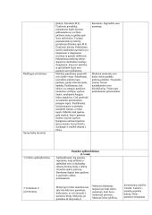 Dailės ir technologijų išplėstinis pamokos planas 2 puslapis