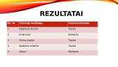 Praktinis darbas „Medžiagų tirpumo nustatymas“ 11 puslapis