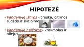 Praktinis darbas „Medžiagų tirpumo nustatymas“ 2 puslapis