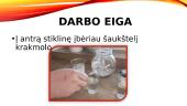Praktinis darbas „Medžiagų tirpumo nustatymas“ 6 puslapis