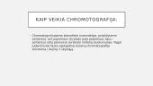 Chromotografija 4 puslapis