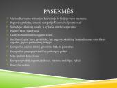 Skaidrės: Kryžiaus žygiai 15 puslapis