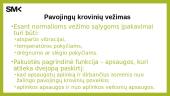 Pavojingų krovinių vežimas kelių transportu 4 puslapis