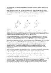 Metalų kietumo matavimai (laboratorinis darbas) 10 puslapis