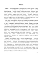 Gimnazijos valgykloje tiekiamo maisto tinkamumas subalansuotai mityba 2 puslapis