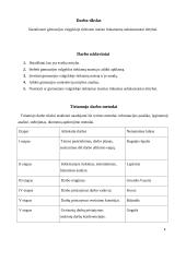 Gimnazijos valgykloje tiekiamo maisto tinkamumas subalansuotai mityba 3 puslapis