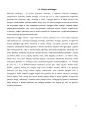 Gimnazijos valgykloje tiekiamo maisto tinkamumas subalansuotai mityba 8 puslapis