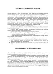 Didaktikos principai 3 puslapis