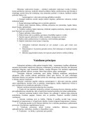 Didaktikos principai 4 puslapis