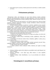 Didaktikos principai 5 puslapis