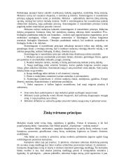 Didaktikos principai 6 puslapis