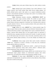 Kabineto įrengimas 6 puslapis