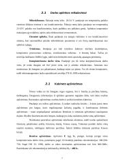 Kabineto įrengimas 7 puslapis