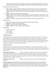 K. Donelaitis. Biografija, kūryba 3 puslapis