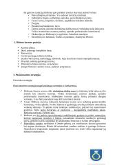 Lietuvos kurortai 3 puslapis